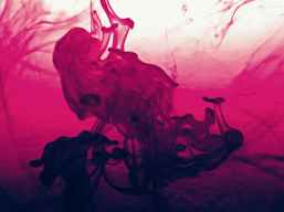 close up photo of pink fluid